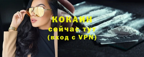 трава Богородицк