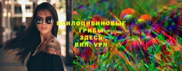 трава Богородицк