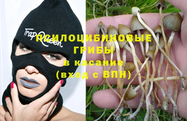синтетический гашиш Богданович