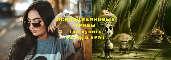 трава Богородицк