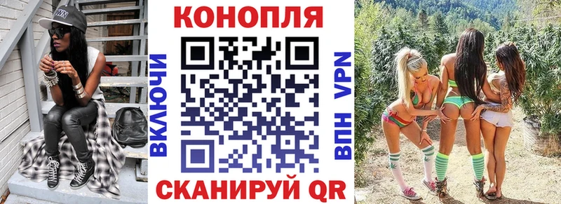 Конопля гибрид  Купить где  Рошаль 